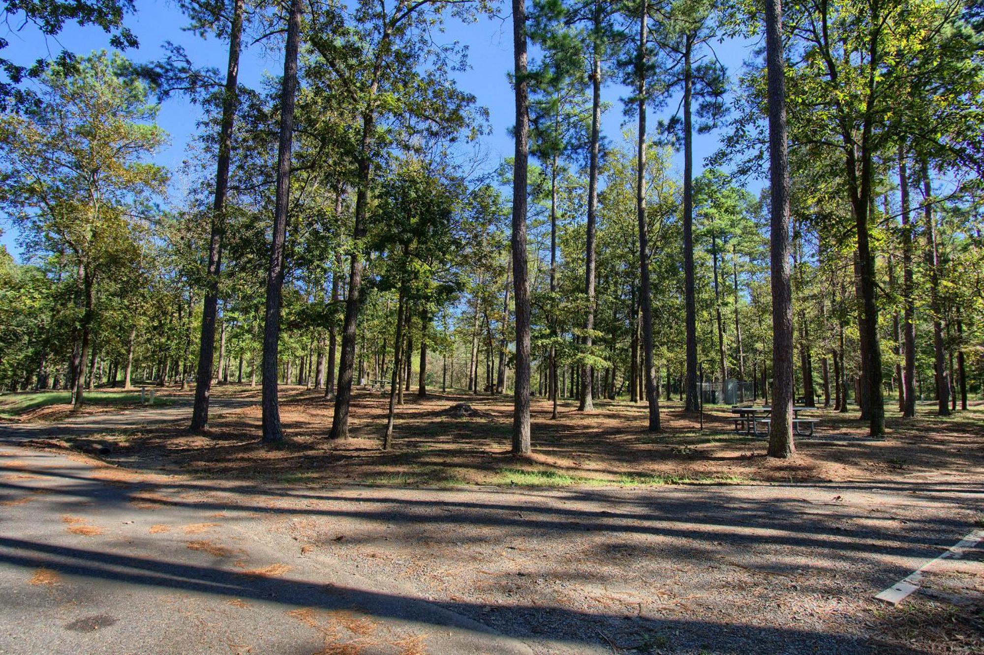 The Americana - Parker Creek Bend Cabins Murfreesboro Kültér fotó